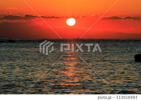 ビーチから眺める美しい夕日と富士山のシルエット。 日本国神奈川県三浦市、荒井浜海水浴場にて。 20 ビーチから眺める美しい夕日と富士山のシルエット。 日本国神奈川県三浦市、荒井浜海水浴場にて。 20 113016993