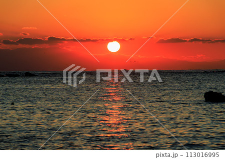 ビーチから眺める美しい夕日と富士山のシルエット。  日本国神奈川県三浦市、荒井浜海水浴場にて。 20 113016995