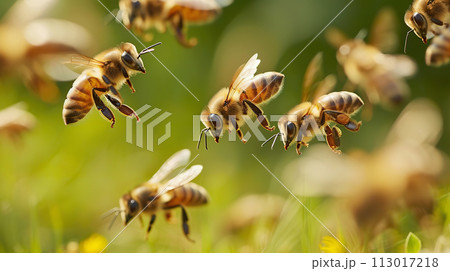 AI-generated content. Swarm of honeybees flying in the warm light of a sunlit meadow and apiary 113017218