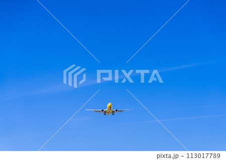 《飛行機》ボーイング Boeing 737NG > 737-800(ピカチュウジェットBC 1号機) 113017789