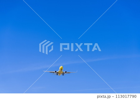 《飛行機》ボーイング Boeing 737NG > 737-800(ピカチュウジェットBC 1号機) 113017790