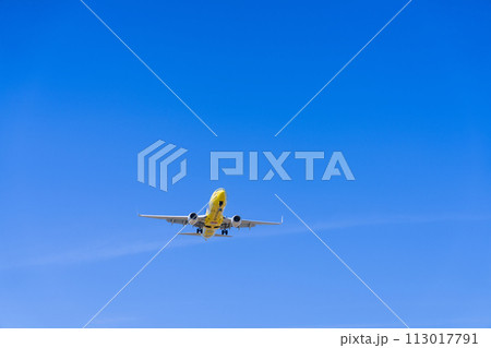 《飛行機》ボーイング Boeing 737NG > 737-800(ピカチュウジェットBC 1号機) 113017791