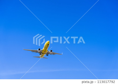 《飛行機》ボーイング Boeing 737NG > 737-800(ピカチュウジェットBC 1号機) 113017792