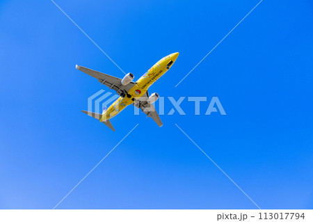 《飛行機》ボーイング Boeing 737NG > 737-800(ピカチュウジェットBC 1号機) 《飛行機》ボーイング Boeing 737NG > 737-800(ピカチュウジェットBC 1号機) 113017794