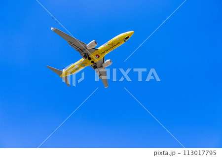 《飛行機》ボーイング Boeing 737NG > 737-800(ピカチュウジェットBC 1号機) 113017795