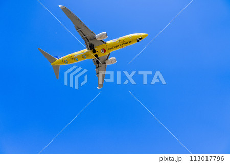 《飛行機》ボーイング Boeing 737NG > 737-800(ピカチュウジェットBC 1号機) 《飛行機》ボーイング Boeing 737NG > 737-800(ピカチュウジェットBC 1号機) 113017796