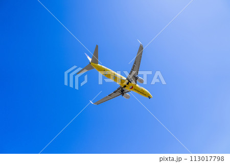 《飛行機》ボーイング Boeing 737NG > 737-800(ピカチュウジェットBC 1号機) 《飛行機》ボーイング Boeing 737NG > 737-800(ピカチュウジェットBC 1号機) 113017798
