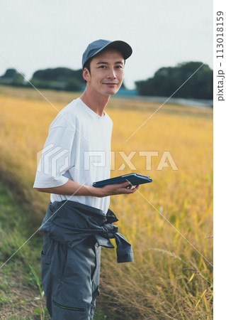 rice farming rice farming 113018159