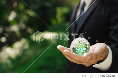 Hand for environmental, global warming, Sustainable development and green business based on renewable energy. Reduce CO2 emission concept 113018536