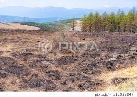 【災害イメージ】霧ケ峰高原の山火事跡【長野県】 【災害イメージ】霧ケ峰高原の山火事跡【長野県】 113018847