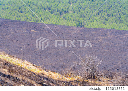 【災害イメージ】霧ケ峰高原の山火事跡【長野県】 【災害イメージ】霧ケ峰高原の山火事跡【長野県】 113018851
