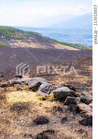 【災害イメージ】霧ケ峰高原の山火事跡【長野県】 113018857