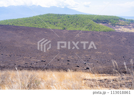 【災害イメージ】霧ケ峰高原の山火事跡【長野県】 113018861