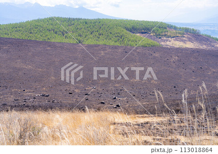 【災害イメージ】霧ケ峰高原の山火事跡【長野県】 113018864