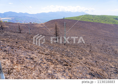【災害イメージ】霧ケ峰高原の山火事跡【長野県】 113018883