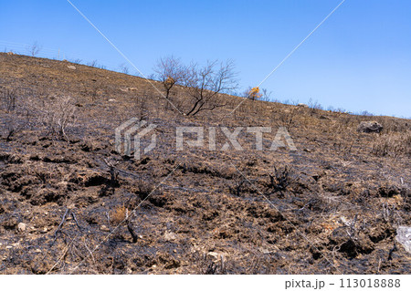 【災害イメージ】霧ケ峰高原の山火事跡【長野県】 【災害イメージ】霧ケ峰高原の山火事跡【長野県】 113018888