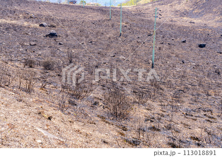 【災害イメージ】霧ケ峰高原の山火事跡【長野県】 113018891