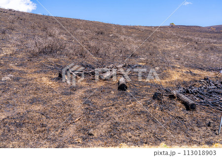【災害イメージ】霧ケ峰高原の山火事跡【長野県】 【災害イメージ】霧ケ峰高原の山火事跡【長野県】 113018903