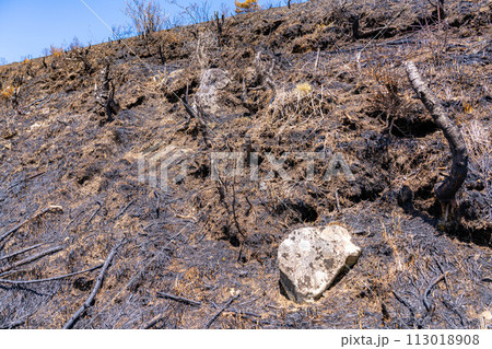 【災害イメージ】霧ケ峰高原の山火事跡【長野県】 【災害イメージ】霧ケ峰高原の山火事跡【長野県】 113018908