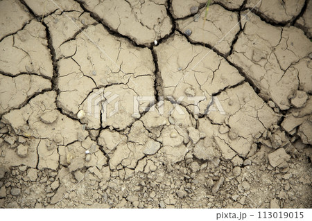 Detail of dry land due to climate change, destruction of the environment Detail of dry land due to climate change, destruction of the environment 113019015