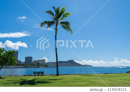 ダイヤモンドヘッドを遠くに望む。 113019121