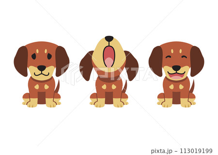 Set of vector cartoon character cute dachshund dog 113019199
