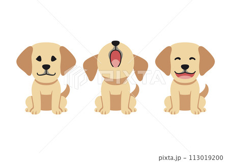 Set of vector cartoon character cute labrador retriever dog Set of vector cartoon character cute labrador retriever dog 113019200