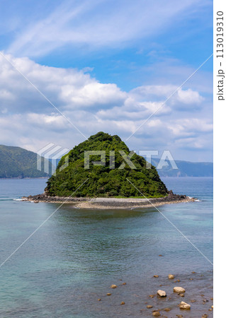奄美大島 トビラ島 奄美大島 トビラ島 113019310