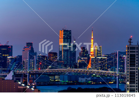 東京夜景　レインボーブリッジライトアップ 113019845
