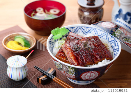 うな丼 うなぎの蒲焼 113019981