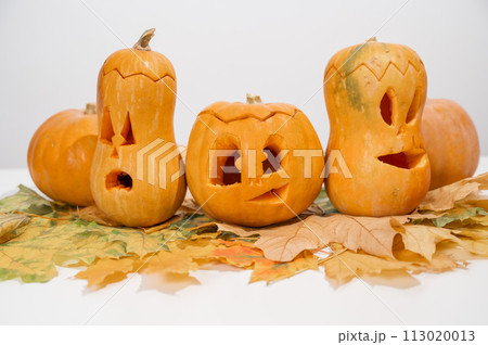 Group of jack-o-lantern on maple leaves. Halloween decoration on a white background. 113020013