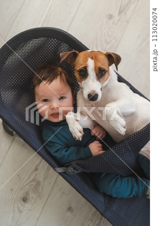 A dog and a cute three-month-old boy dressed in a blue overalls are sitting together in a baby lounger. Vertical photo. A dog and a cute three-month-old boy dressed in a blue overalls are sitting together in a baby lounger. Vertical photo. 113020074