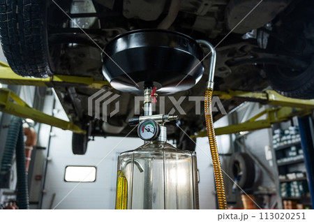 The process of changing the oil in a car engine. Draining old dark used oil from a car on a lift.  113020251