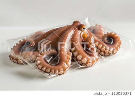 Octopus Trapped in Plastic Bag on White Surface 113020371