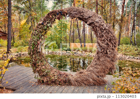 Beautiful autumn nature background. Beautiful autumn nature background. 113020403
