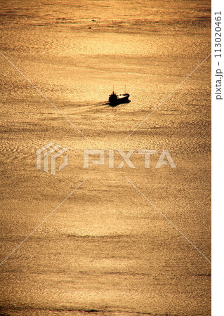 亀老山展望台より来島海峡夕焼の海を望む 113020461