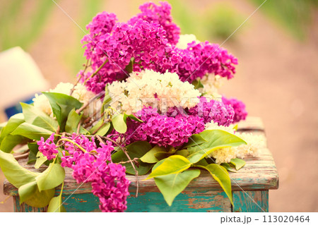 Spring or summer background. A bouquet of lilacs and yellow tulips on a wooden chair. Beautiful flowers on a green background. 113020464