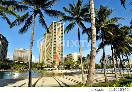 ハワイの休日 ハワイの休日 113020549