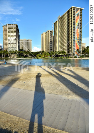 ハワイの休日 113020557