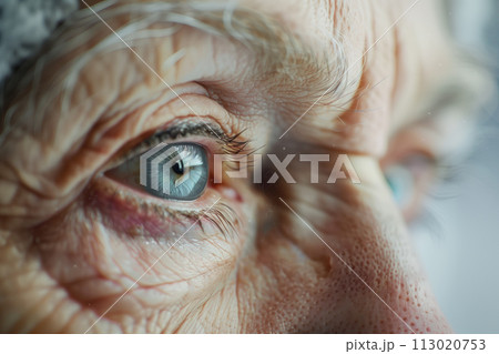 AI-generated content. Macro shot of blue eyes of senior woman with deep aged wrinkles copy space generated AI image 113020753