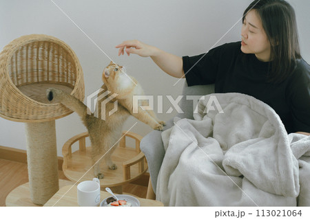 pet care concept with owner during read book and take coffee break and play with cat in livingroom pet care concept with owner during read book and take coffee break and play with cat in livingroom 113021064
