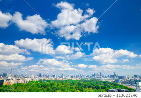 東京都市風景 青空と木漏れ日踊る雲 東京都市風景 青空と木漏れ日踊る雲 113021240