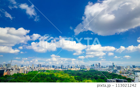 東京都市風景　青空と木漏れ日踊る雲 113021242
