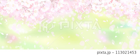 桜と新緑 113021453