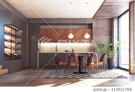 modern kitchen interior 113021769