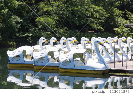 井の頭公園 井の頭公園 113021872