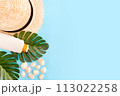 Summer holidays with seashells, palm leaves and straw hat. Blue background with copy space. Top view. 113022258