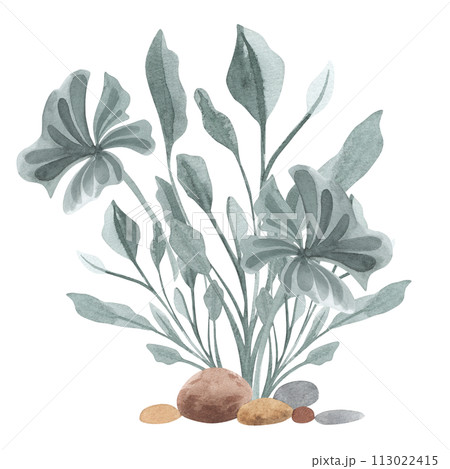 Tropical plants of the ancient world of dinosaurs, leaves, grass, bushes Watercolor set hand drawn . For nursery, stickers, notebook print, etc 113022415