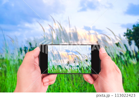 Clear image on screen taken with smartphone in human hand, Smartphone camera technology concept Clear image on screen taken with smartphone in human hand, Smartphone camera technology concept 113022423