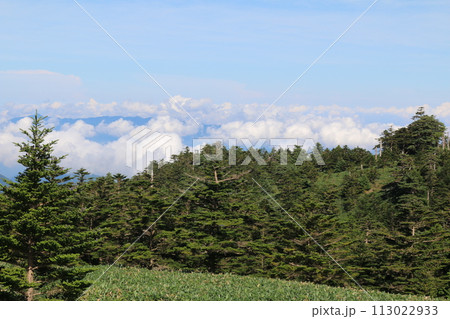 夏の石鎚山系 113022933